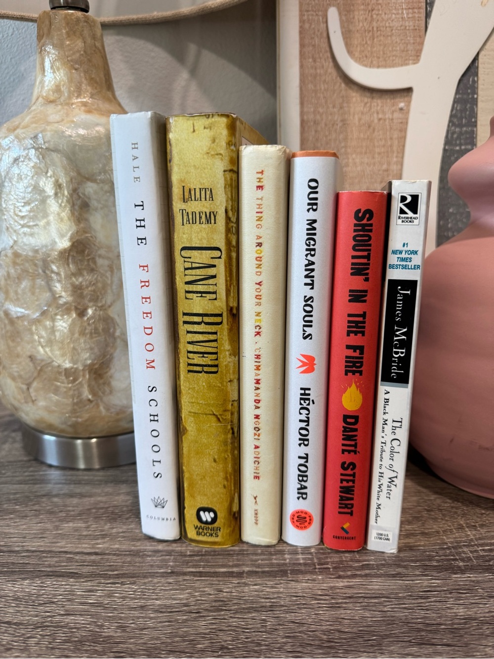 Book Lot Cultural Diversity, Black History & Diaspora Books Adichie McBride